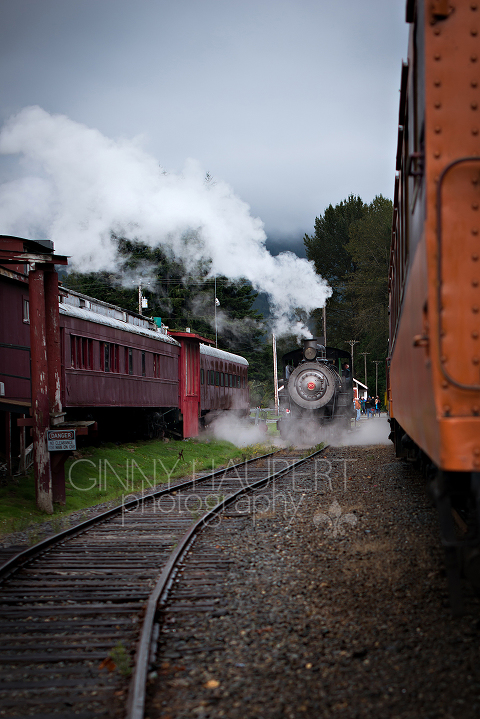 Mt Rainier Scenic Railroad