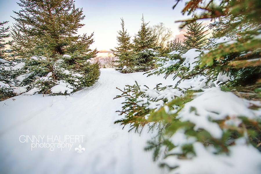 split_rock_lighthouse_ginny_haupert_GHP_5189fb