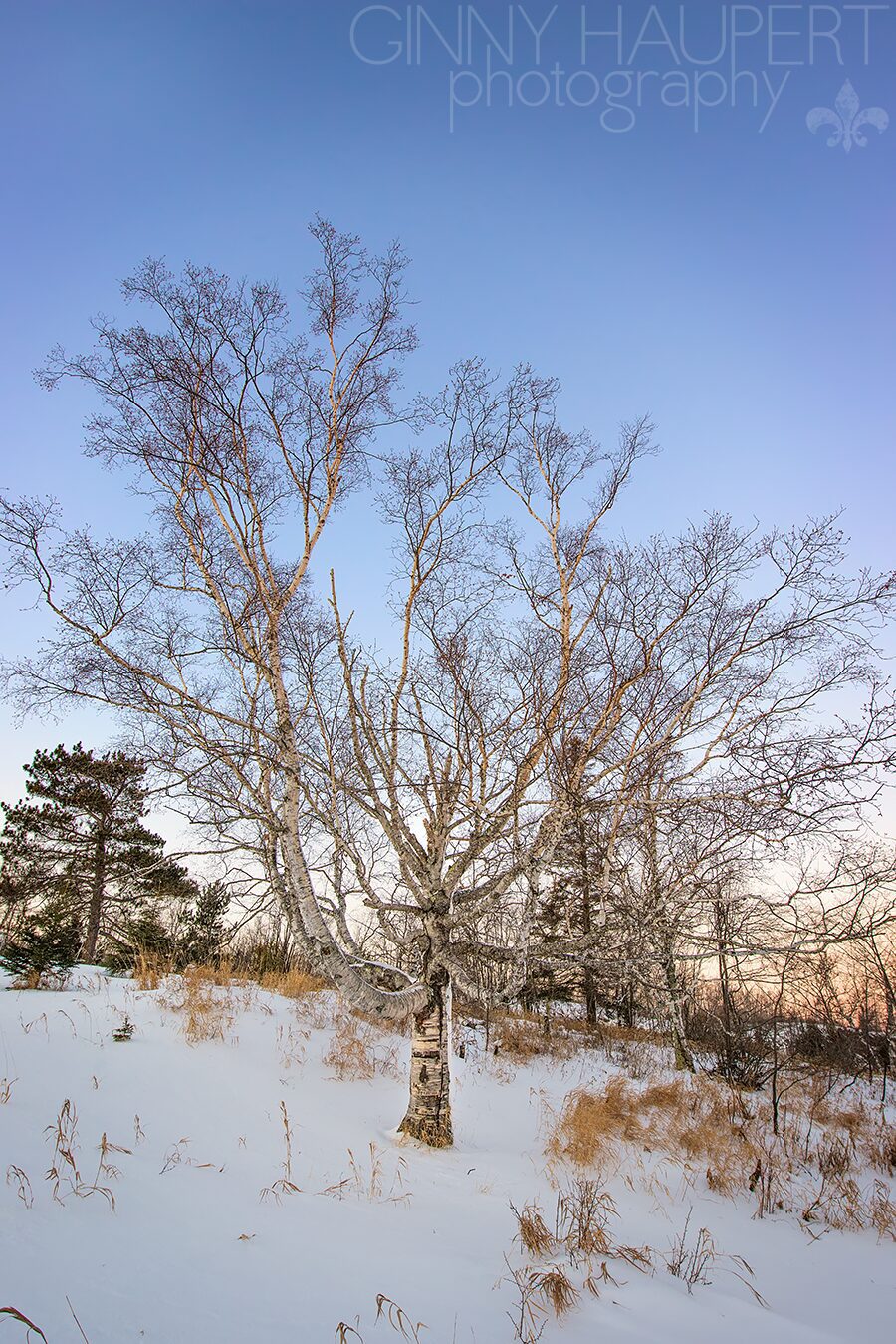 split_rock_lighthouse_ginny_haupert_GHP_5239