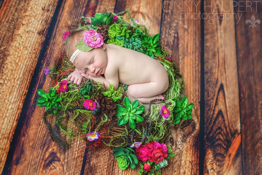 Ginny Haupert Newborn Nest