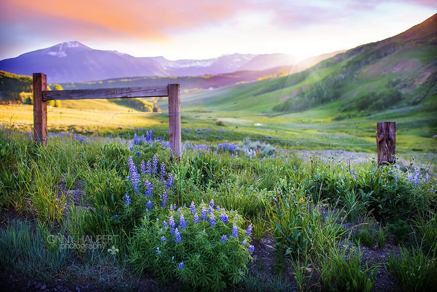 ginny_haupert_photography_crested_butteGHP_7412