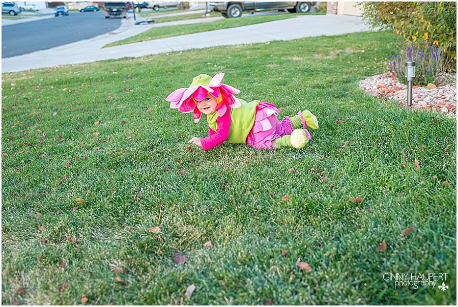 2014-11-02_0002