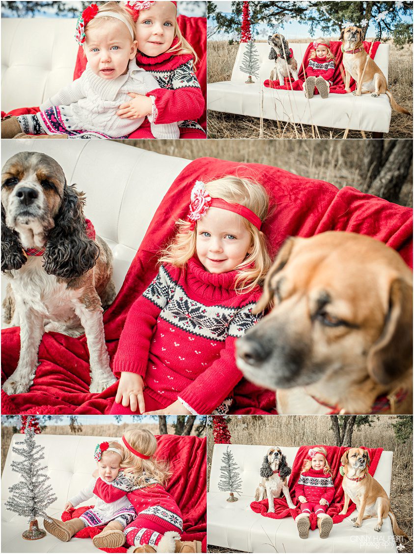 Denver Photographer, Aurora Photographer, lifestyle, family, chirstmas, 17 mile farm, centennial
