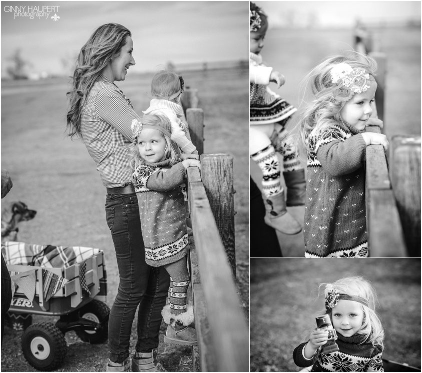aurora photographer, denver photogrpaher, christmas family session, 17 mile farm parker