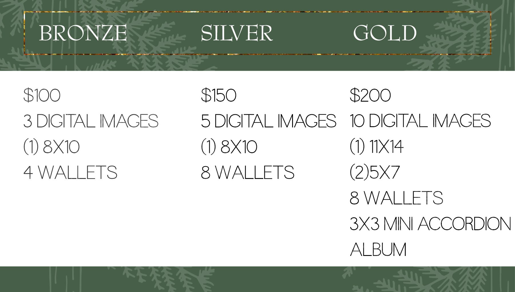 denver holiday mini sessions, children christmas photos