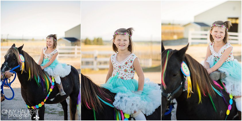 double t stable, denver, aurora, centennial, parker photographer, denvers best