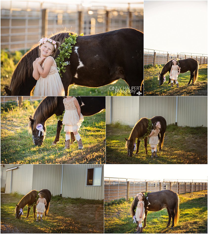 double t stable, denver, aurora, centennial, parker photographer, denvers best