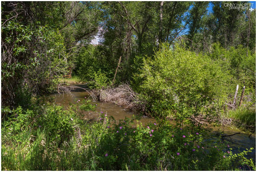 crested butte photographer, gunnison photographer, ginny haupert