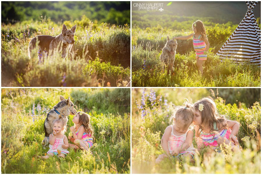 crested butte photographer, gunnison photographer, ginny haupert