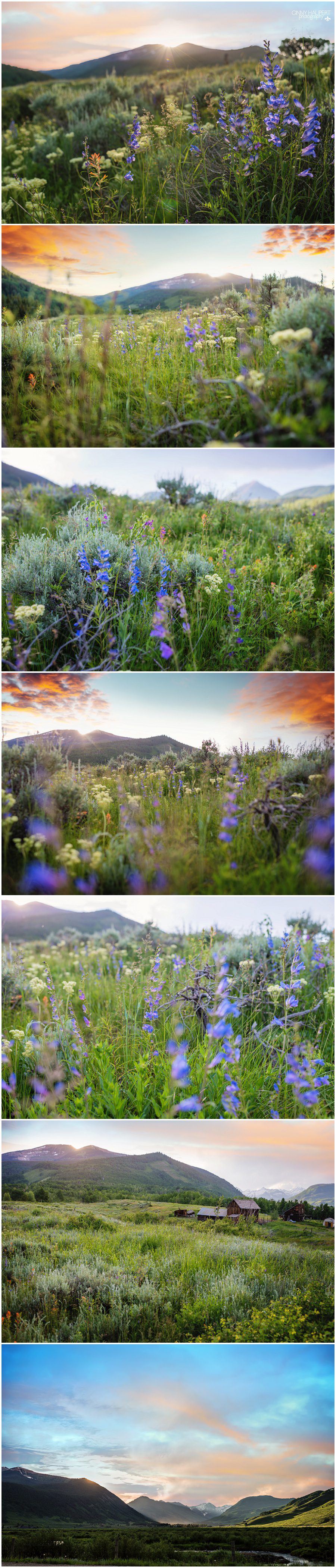 crested butte photographer, gunnison photographer, ginny haupert