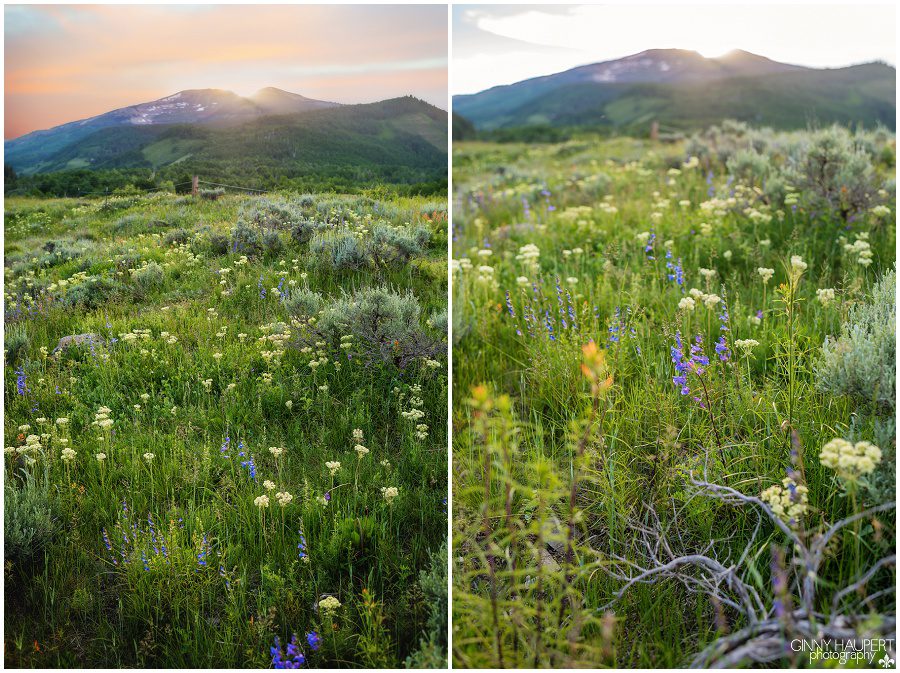 crested butte photographer, gunnison photographer, ginny haupert
