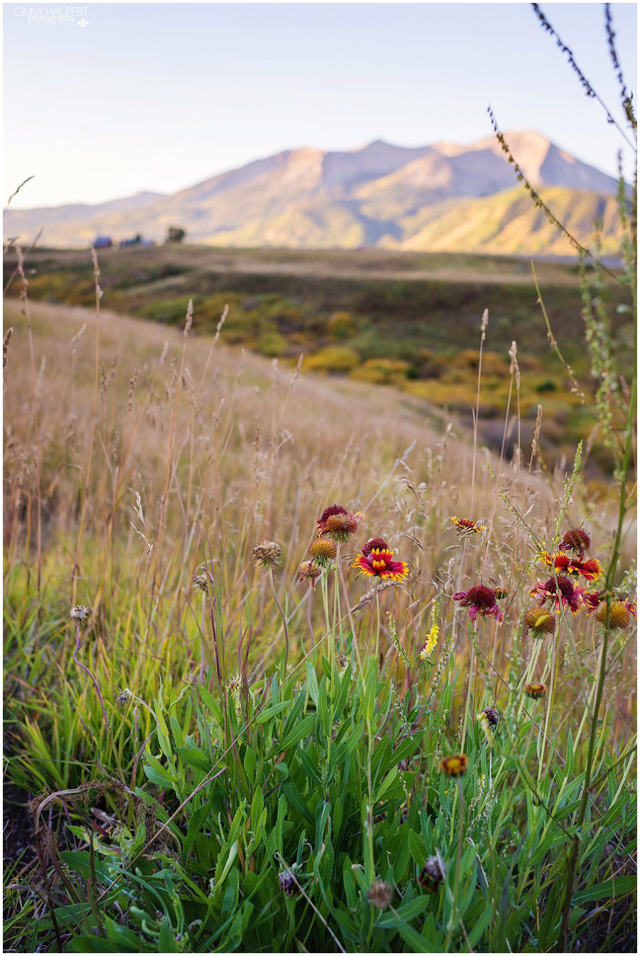 crested butte photographer, denver photographer, denvers best photographers, colorado landscape, best co places to visit, crested butte photographer, gunnison photographer