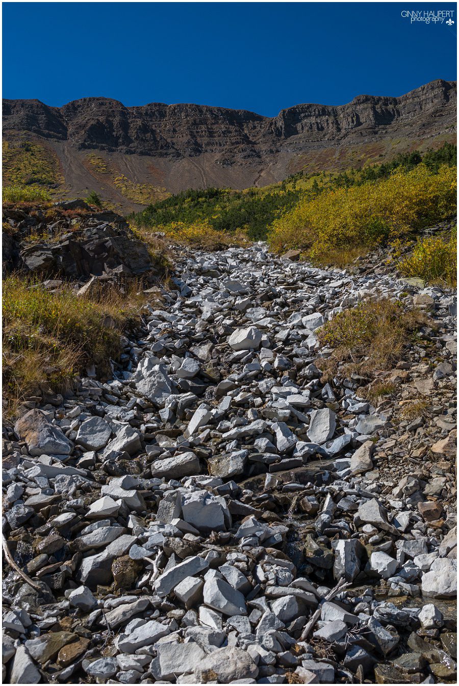 crested butte photographer, denver photographer, denvers best photographers, colorado landscape, best co places to visit, crested butte photographer, gunnison photographer