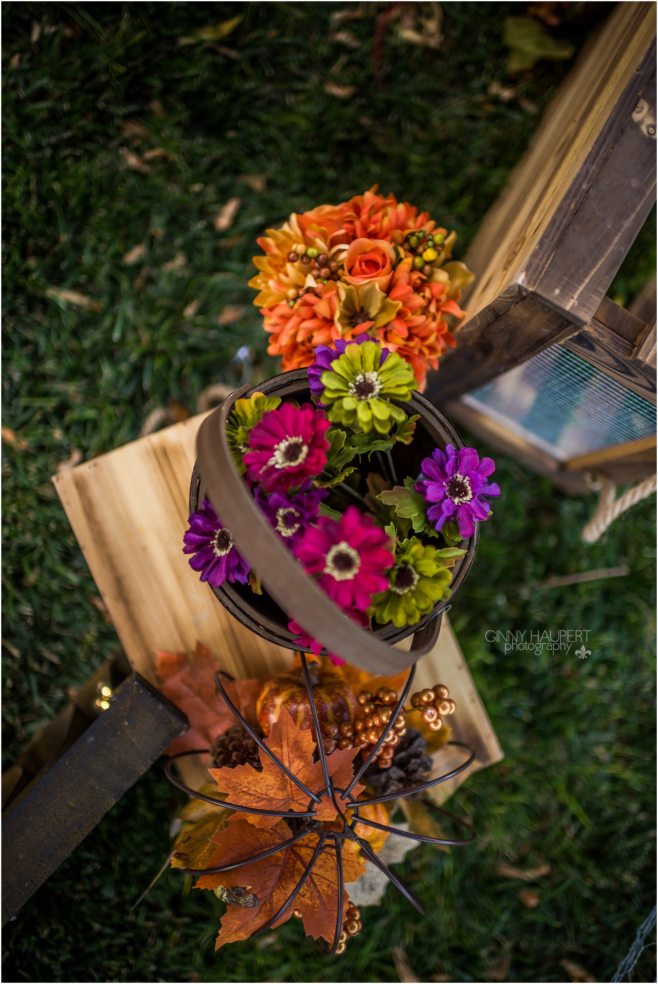 colorado,denver fall mini sessions,ginny haupert, denver_fall_mini_sessions_0094.jpg