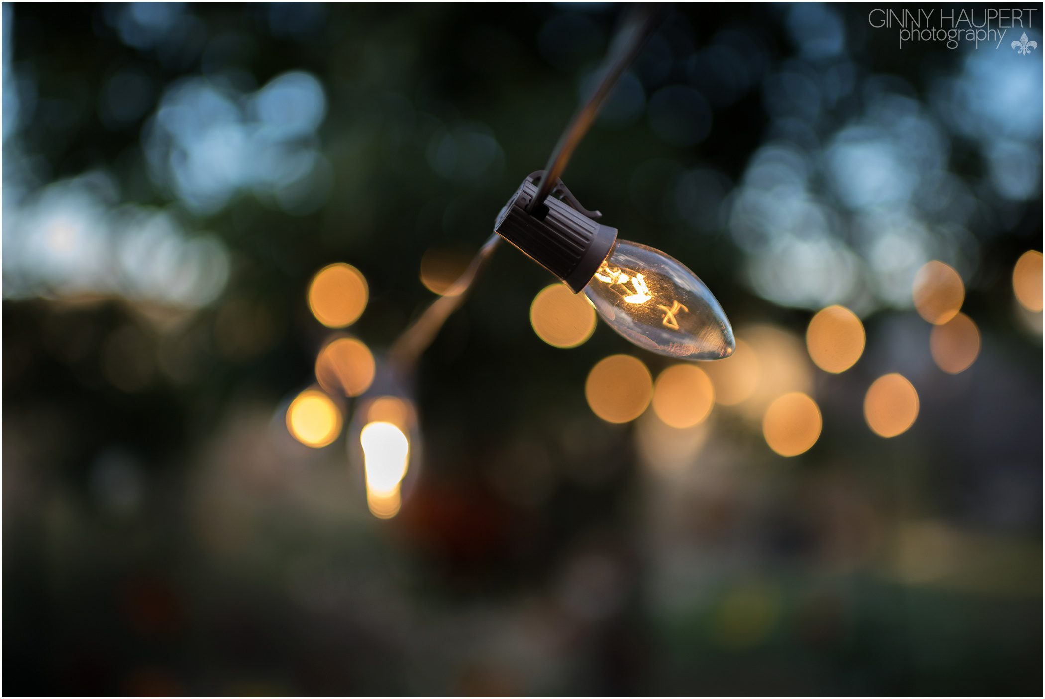 colorado,denver fall mini sessions,ginny haupert, denver_fall_mini_sessions_0097.jpg