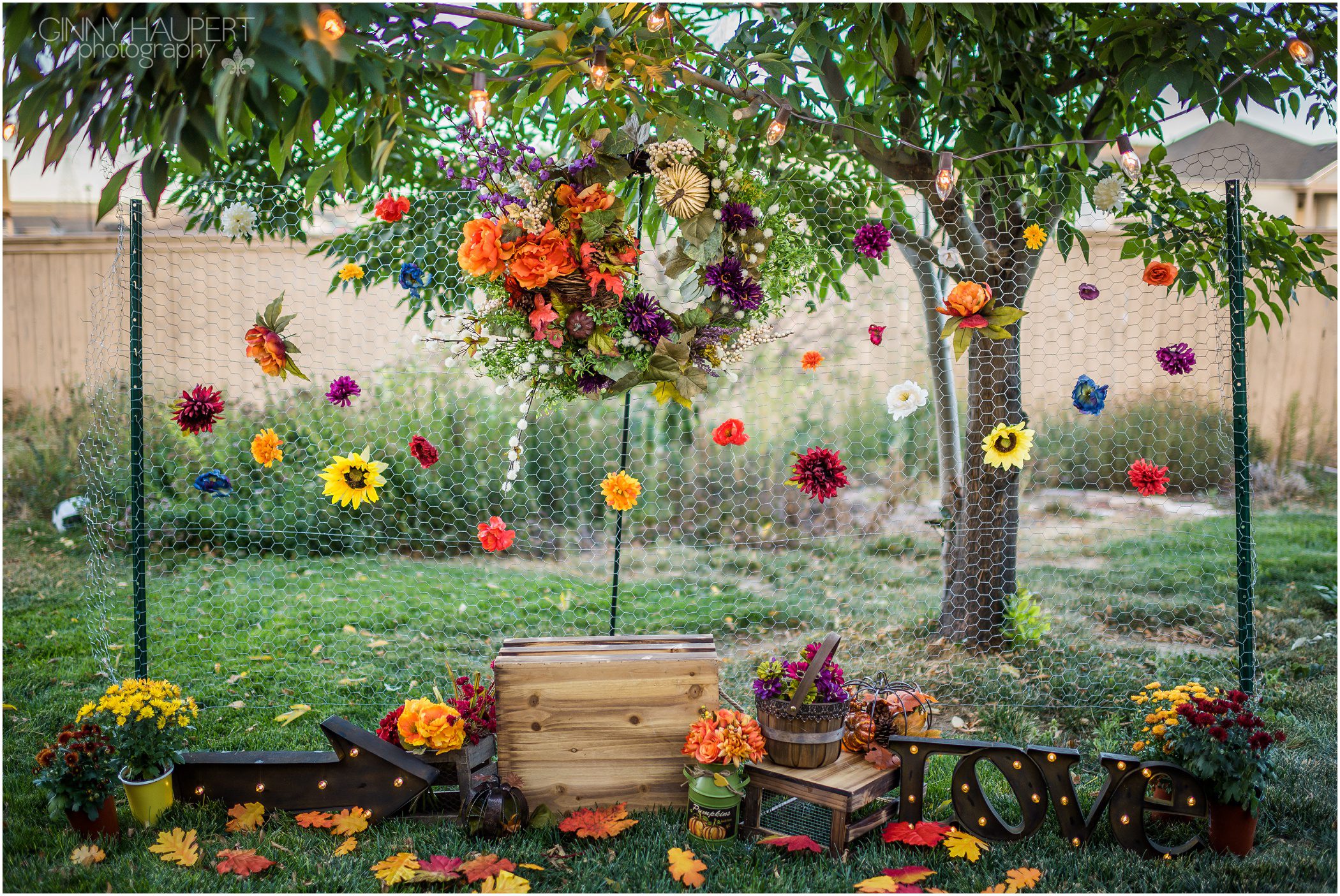 colorado,denver fall mini sessions,ginny haupert, denver_fall_mini_sessions_0098.jpg
