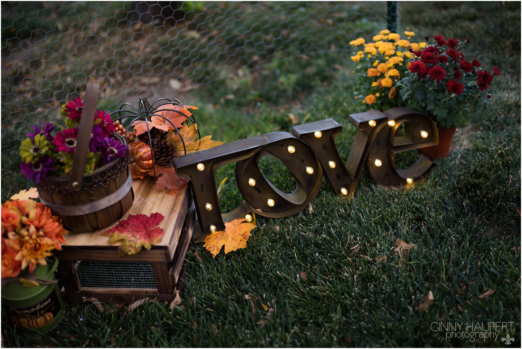 colorado,denver fall mini sessions,ginny haupert, denver_fall_mini_sessions_0100.jpg