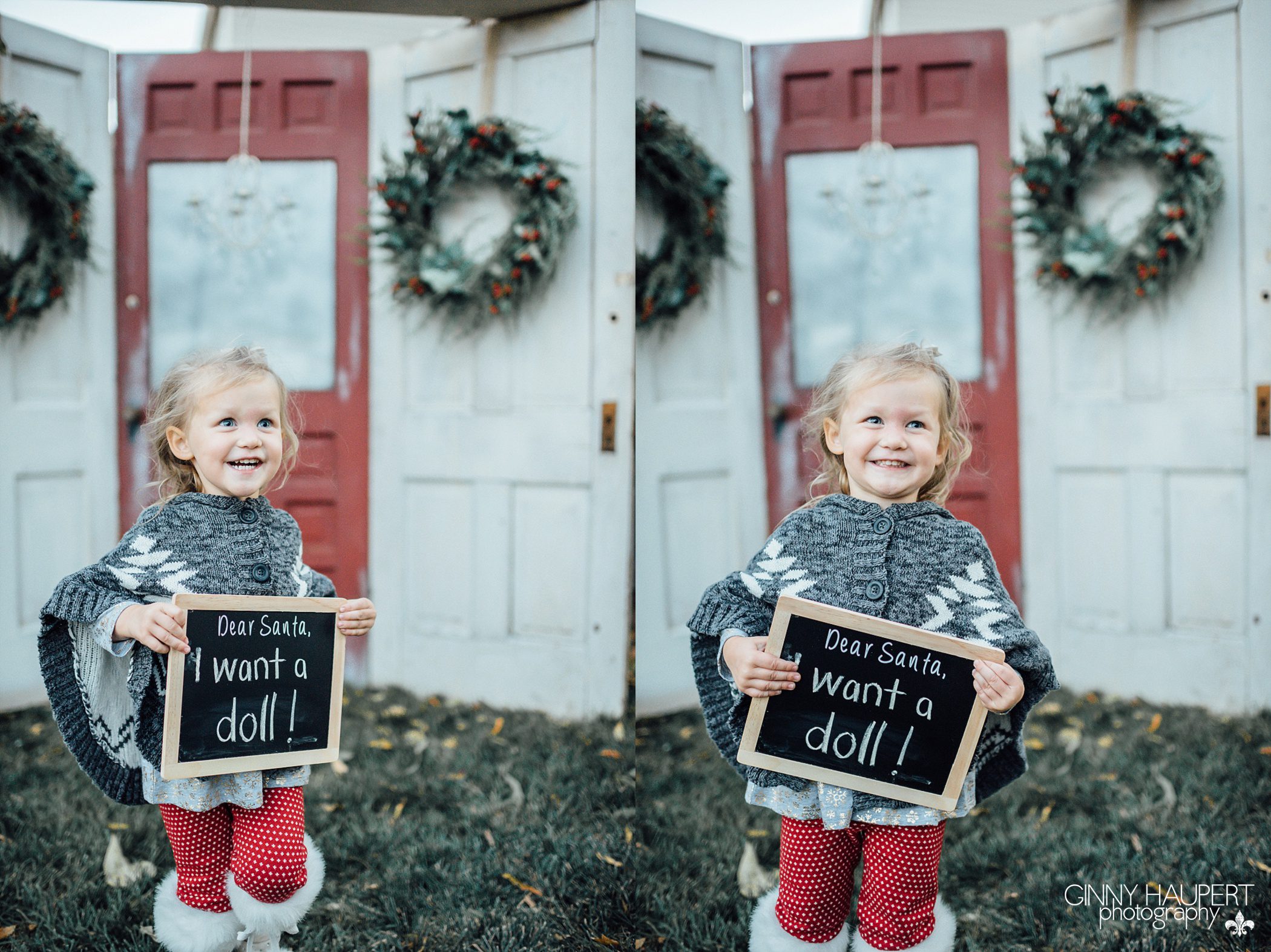 denver christmas mini session