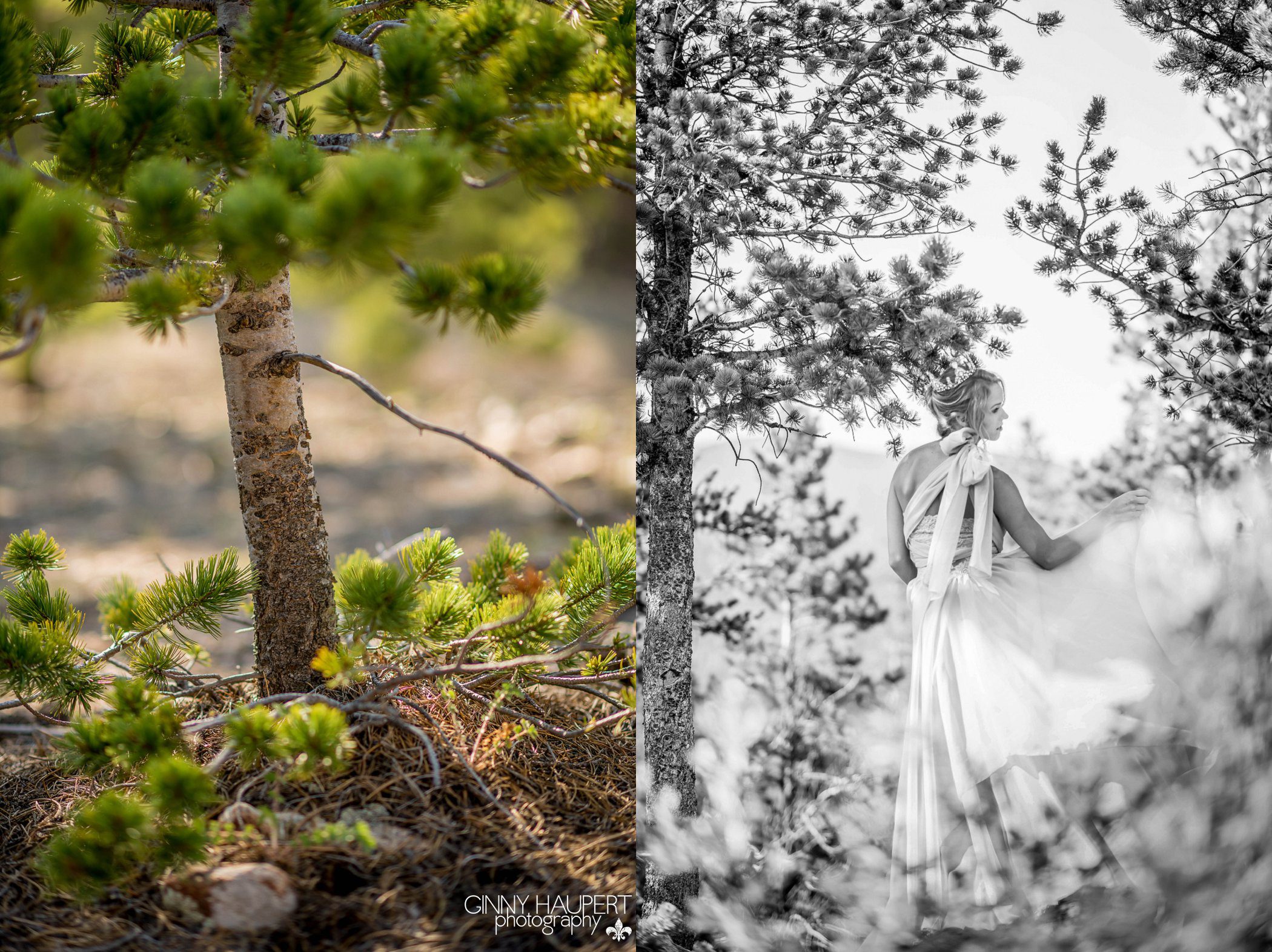 mountain beauty session