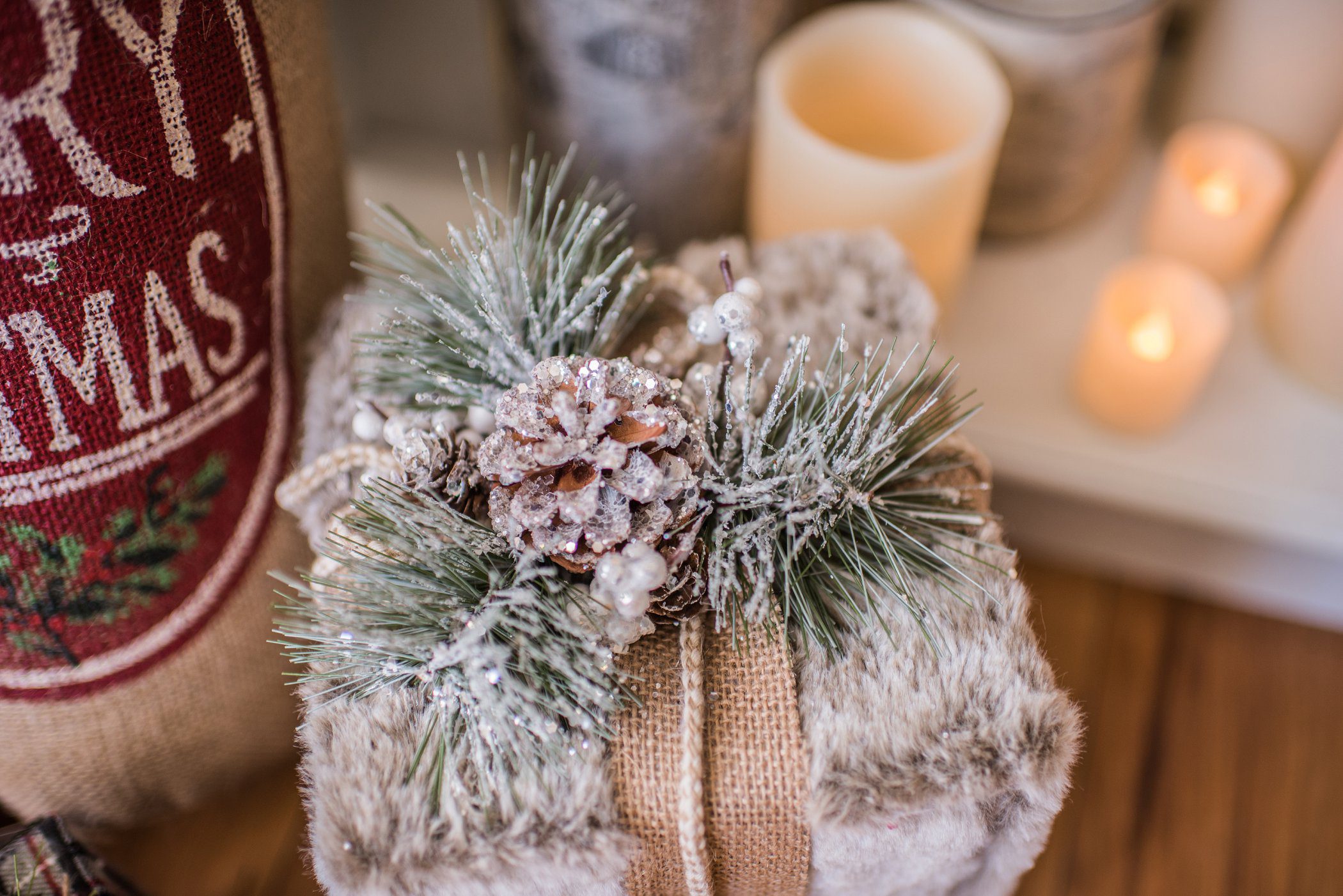 2017_denver_christmas_mini_sessions