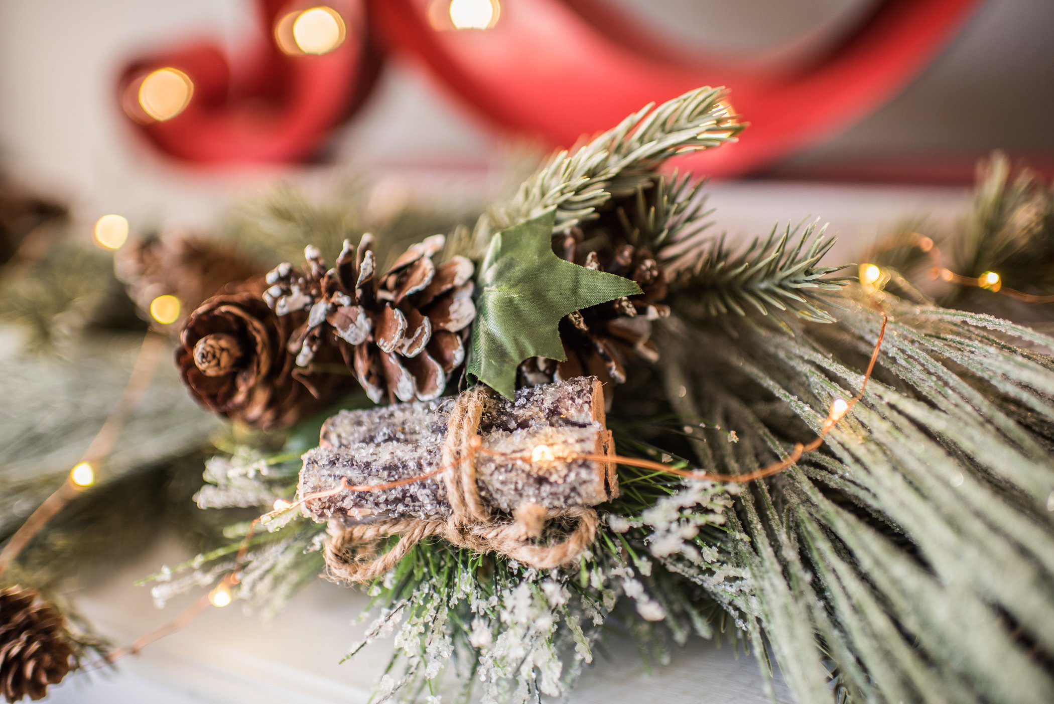 2017_denver_christmas_mini_sessions