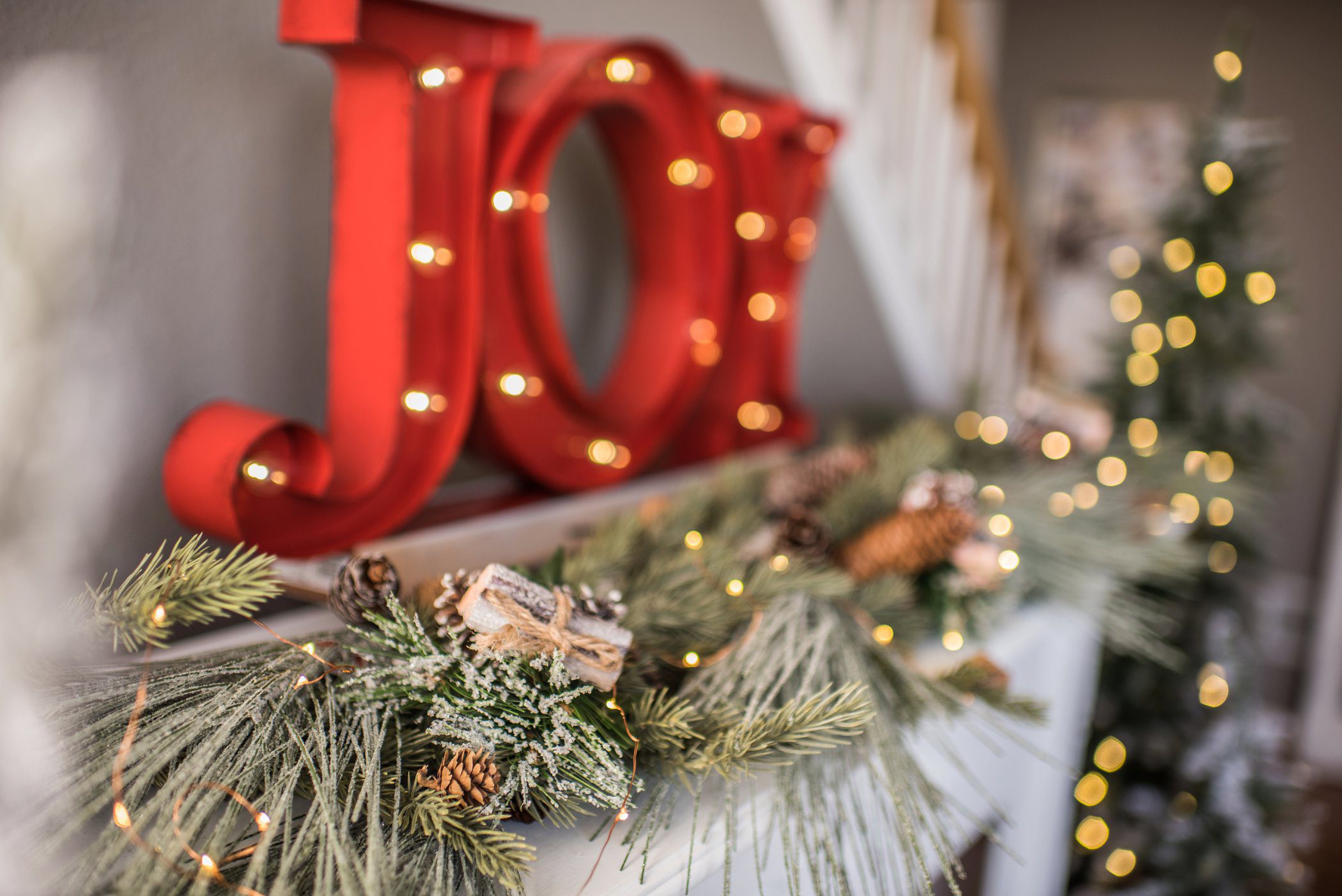 2017_denver_christmas_mini_sessions