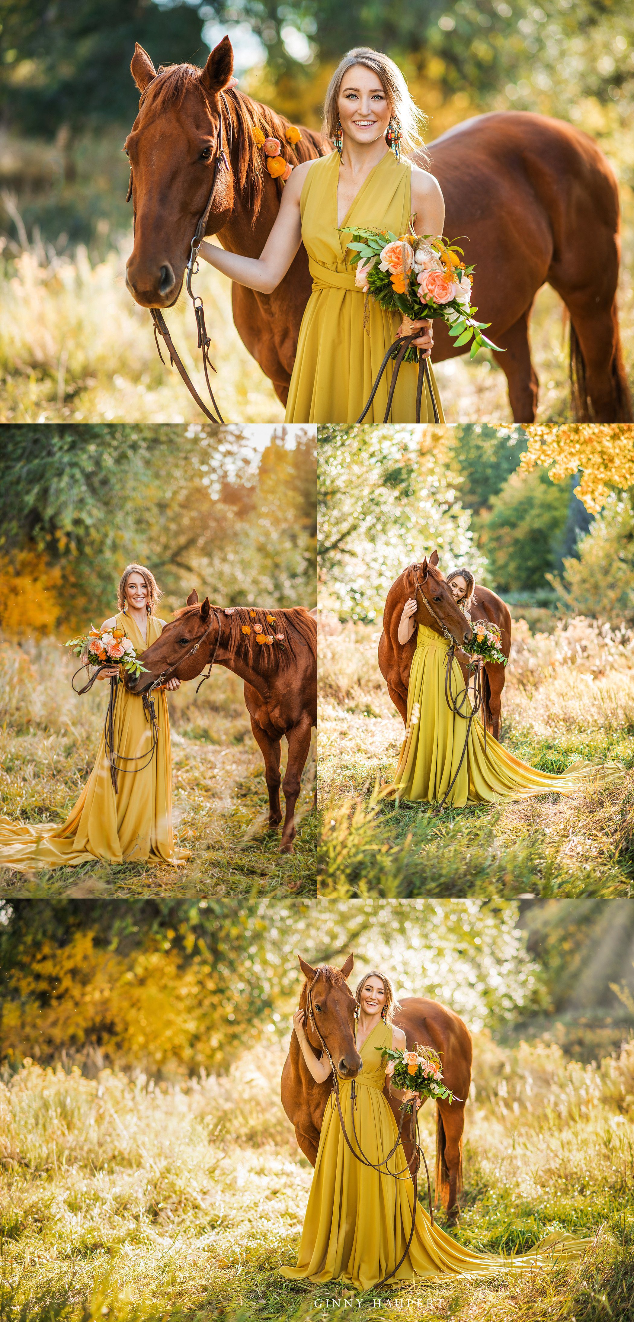 devils backbone- fort collins photographer, horse, beauty