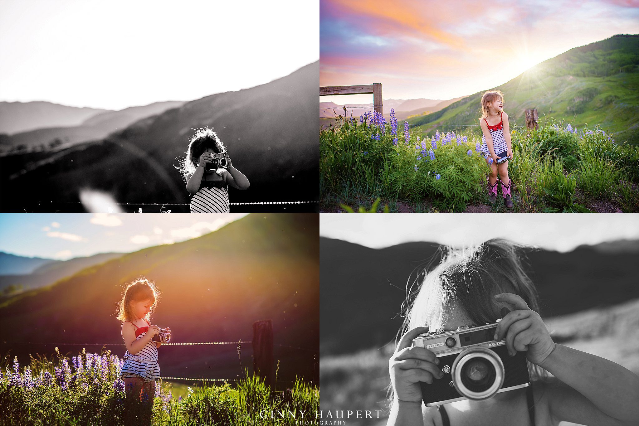 Denver photography shoot out, colorado, class, workshop, best, top