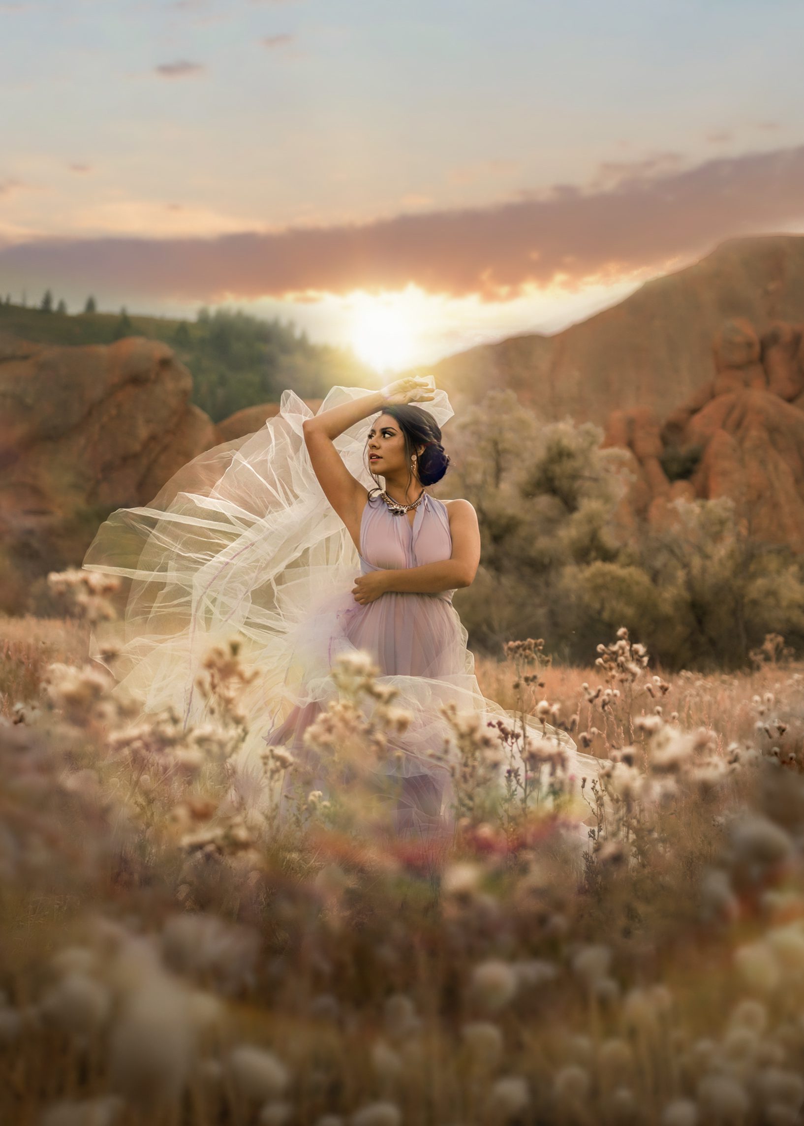 abhishek-babaria-MfRNSuqxr3U-unsplashfb