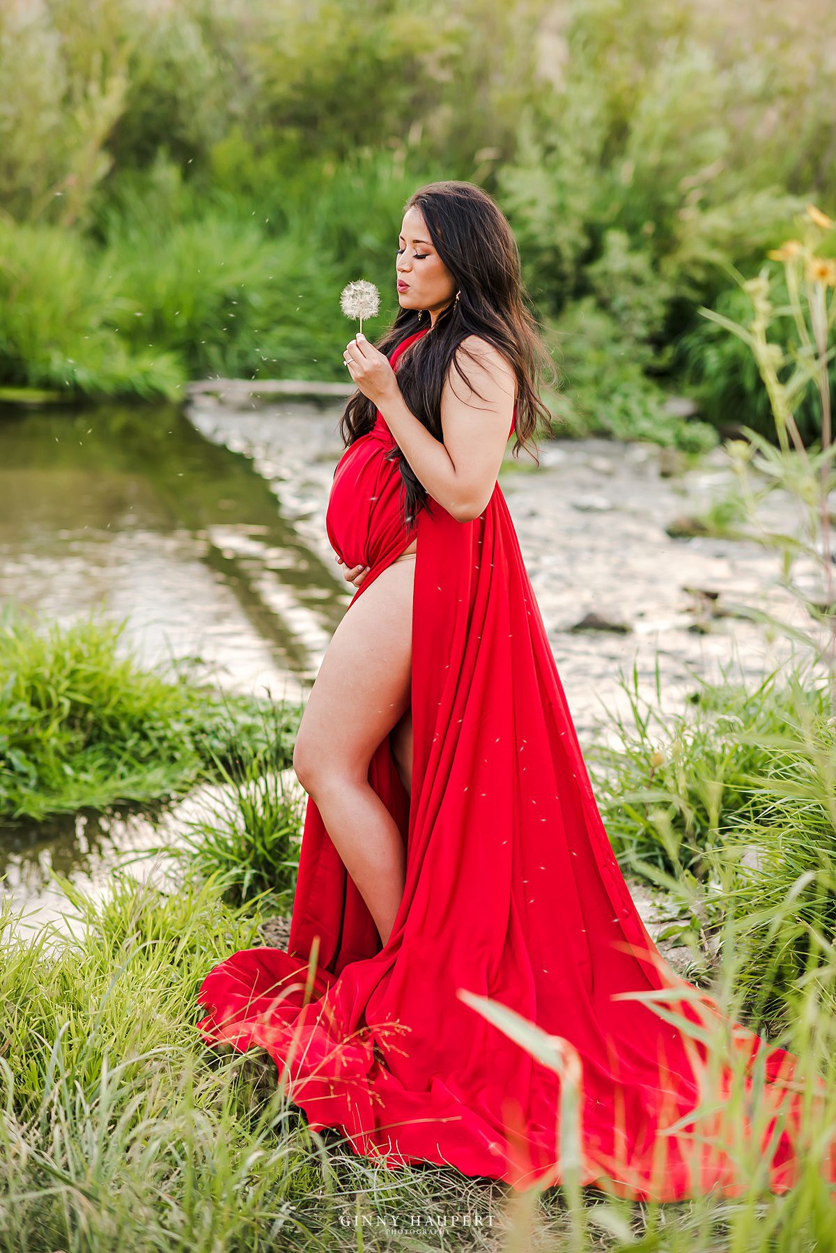 Centennial Maternity Photographer