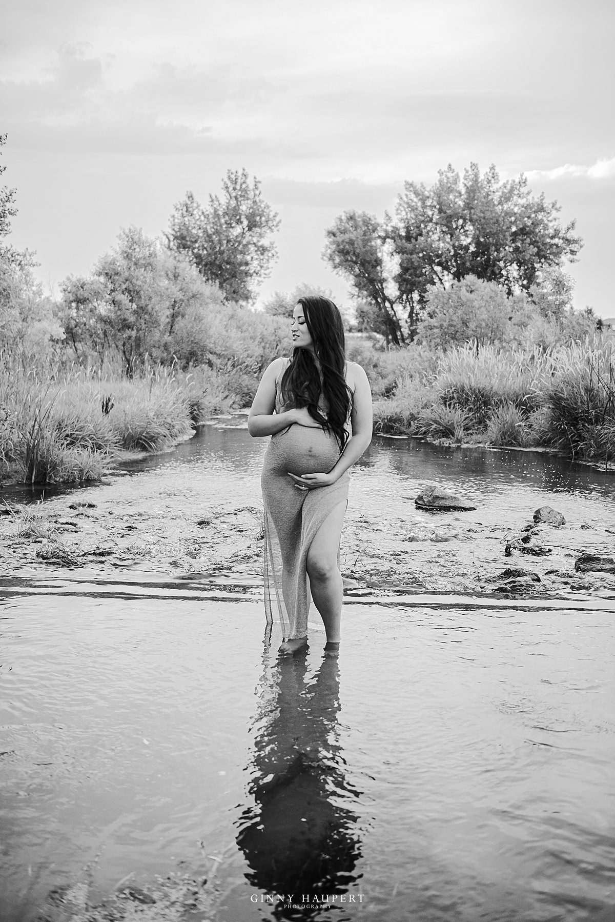 Centennial Maternity Photographer