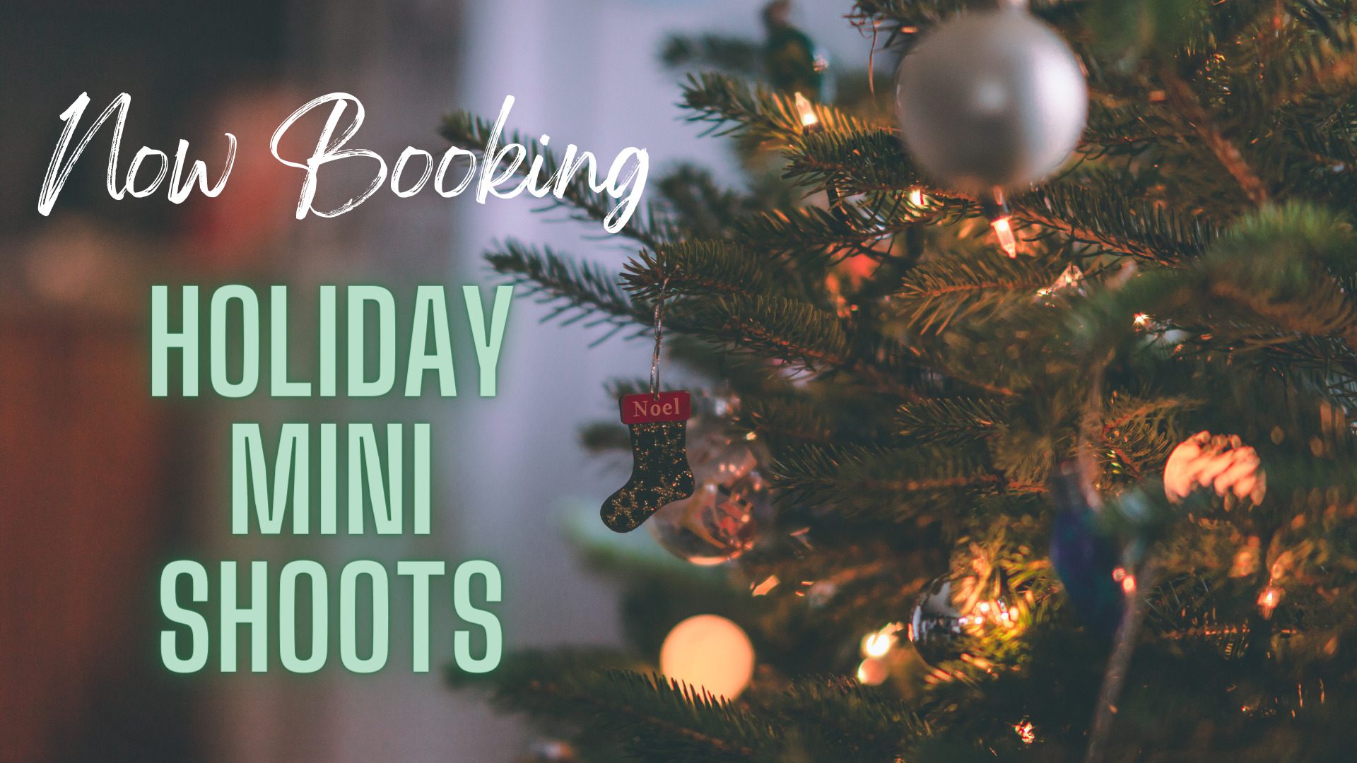 denver holiday mini photoshoots